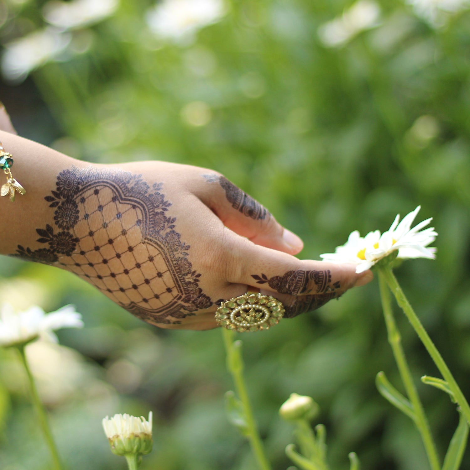 Organic Henna Cones with Cajeput oil