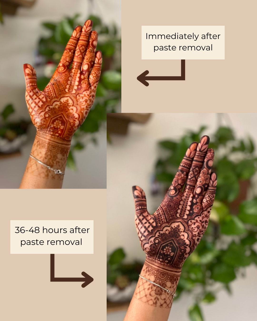 Natural Henna Cone